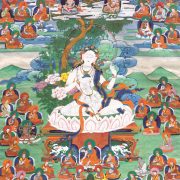 sukhasiddhi-shangpa-lineage